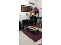 2-br-bedspace-4-lady-in-burjuman-metro-clean-small-2