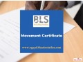 apply-online-movement-certificate-in-egypt-small-0