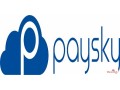paysky-solutions-small-1