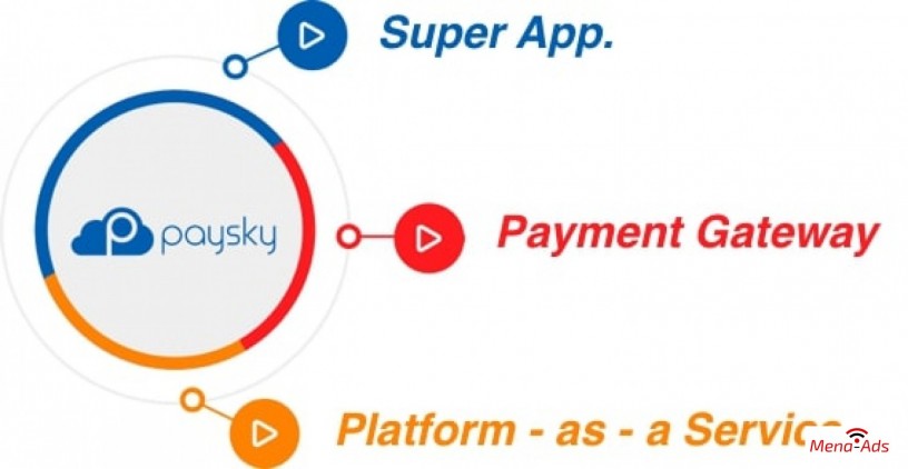 paysky-solutions-big-0