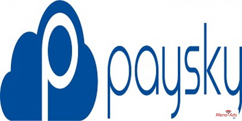 paysky-solutions-big-1