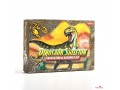 jeu-de-paleontologie-pour-enfants-small-3