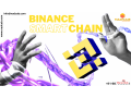 binance-smart-chain-development-small-0