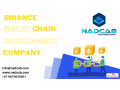 binance-smart-chain-development-small-2