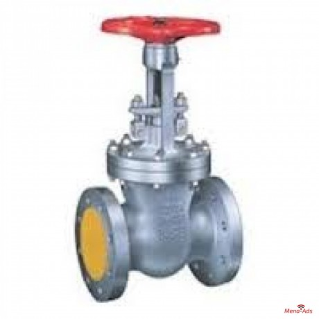 gate-valves-suppliers-in-kolkata-big-0