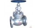 globe-valves-suppliers-in-kolkata-small-0