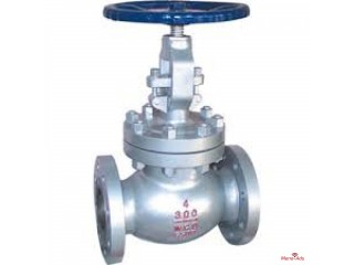 GLOBE VALVES SUPPLIERS IN KOLKATA