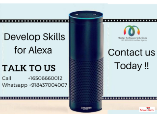 Alexa Skill Development Company