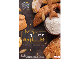 قصر الشركات – أفضل شركة تصميم بروفايل شركات في العالم العربي